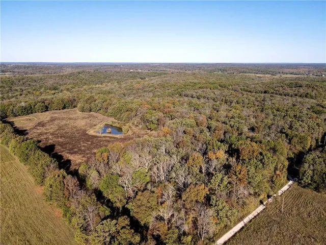 $699,999 | 2055 East 335th Road, Half Way, MO 65663