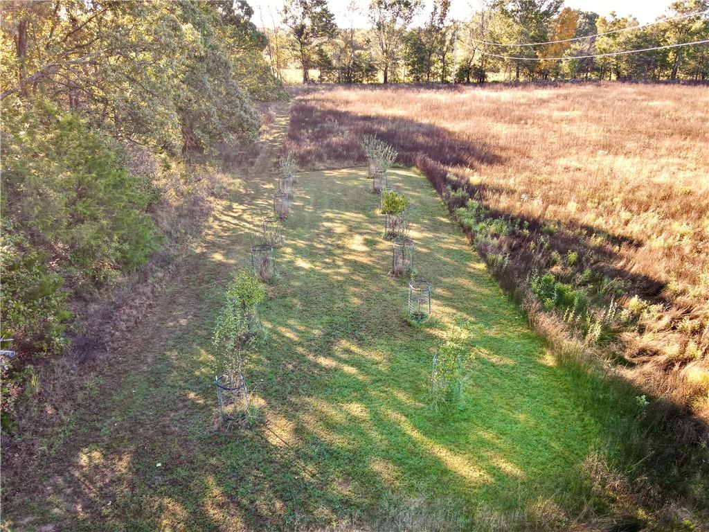 2055 East 335th Road Half Way, MO 65663 - Photo 45 of 99