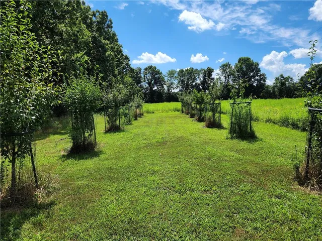 $699,999 | 2055 East 335th Road, Half Way, MO 65663