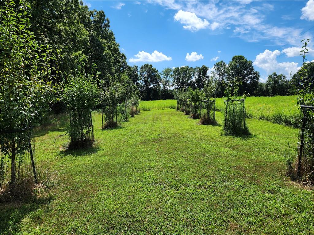 2055 East 335th Road Half Way, MO 65663 - Photo 46 of 99