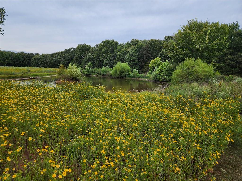 2055 East 335th Road Half Way, MO 65663 - Photo 51 of 99