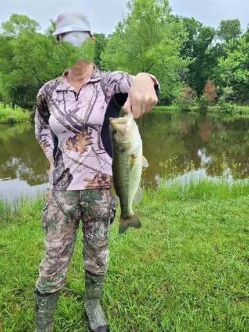 $699,999 | 2055 East 335th Road, Half Way, MO 65663