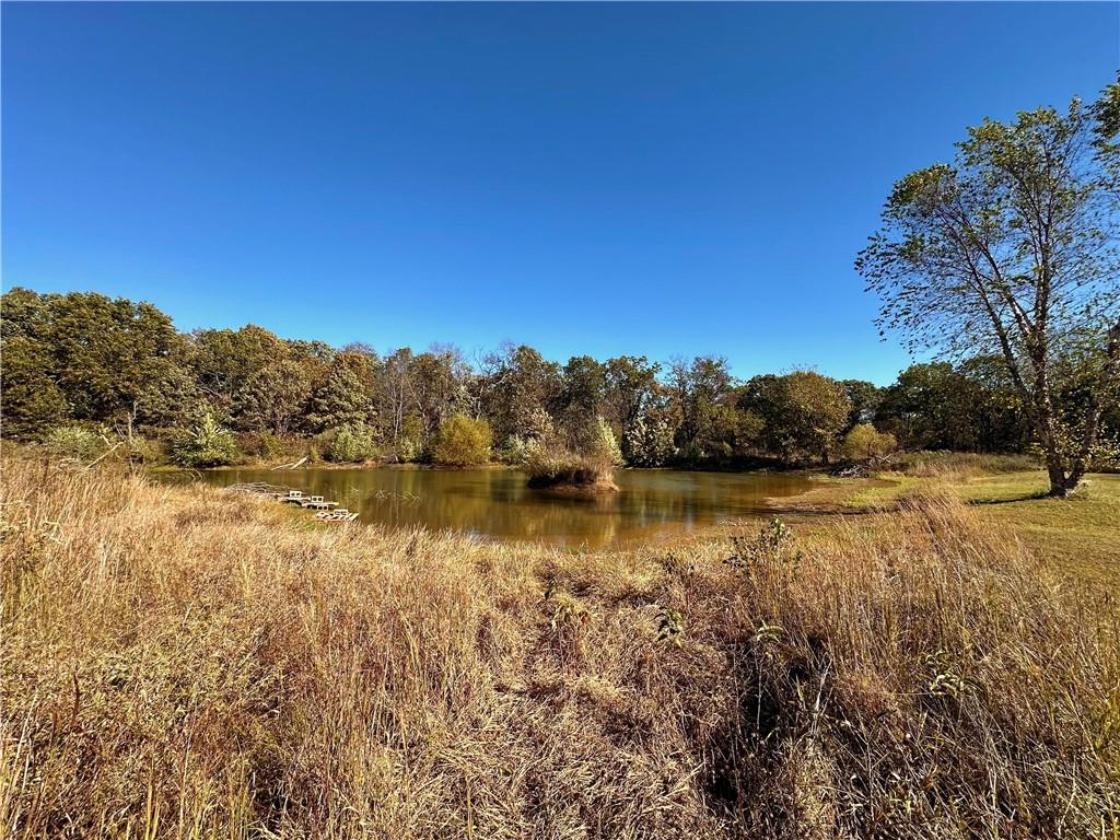 2055 East 335th Road Half Way, MO 65663 - Photo 54 of 99