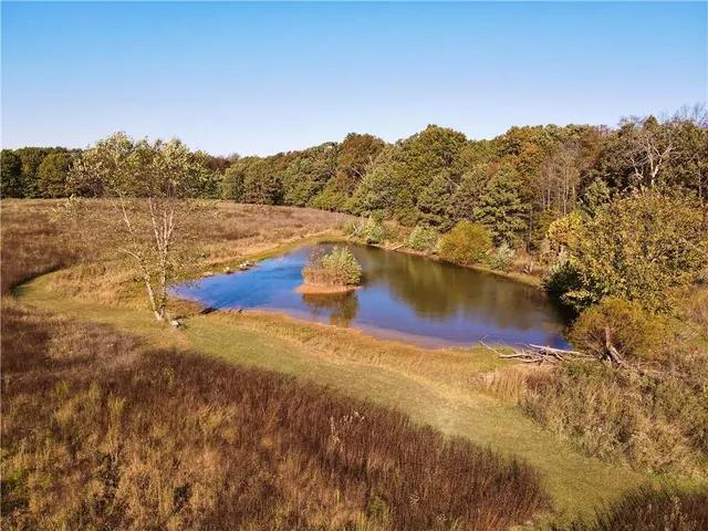 $699,999 | 2055 East 335th Road, Half Way, MO 65663