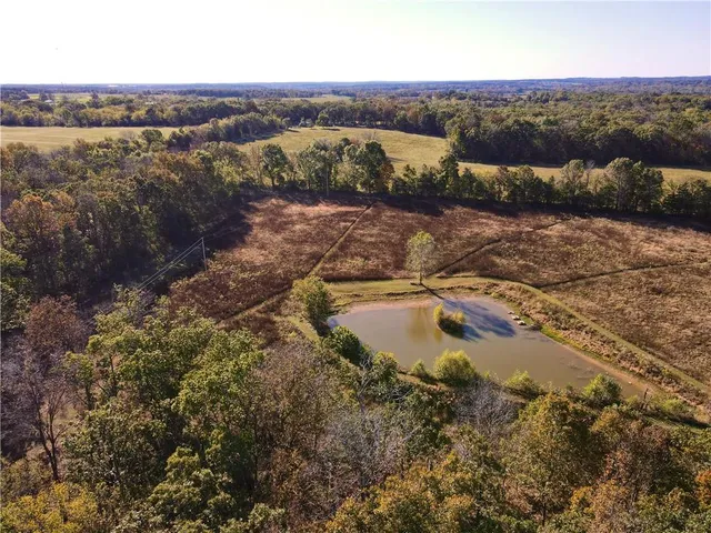 $699,999 | 2055 East 335th Road, Half Way, MO 65663