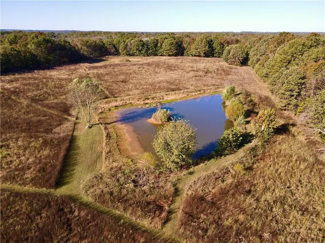 $699,999 | 2055 East 335th Road, Half Way, MO 65663