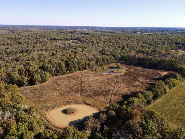 $699,999 | 2055 East 335th Road, Half Way, MO 65663