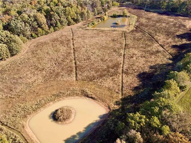 $699,999 | 2055 East 335th Road, Half Way, MO 65663