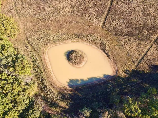 $699,999 | 2055 East 335th Road, Half Way, MO 65663