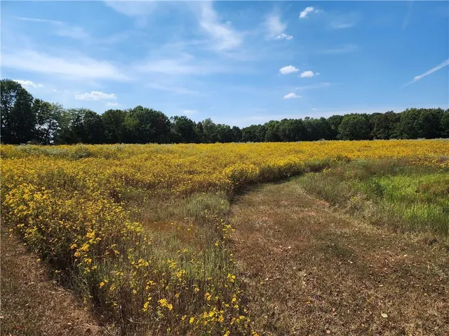 $699,999 | 2055 East 335th Road, Half Way, MO 65663