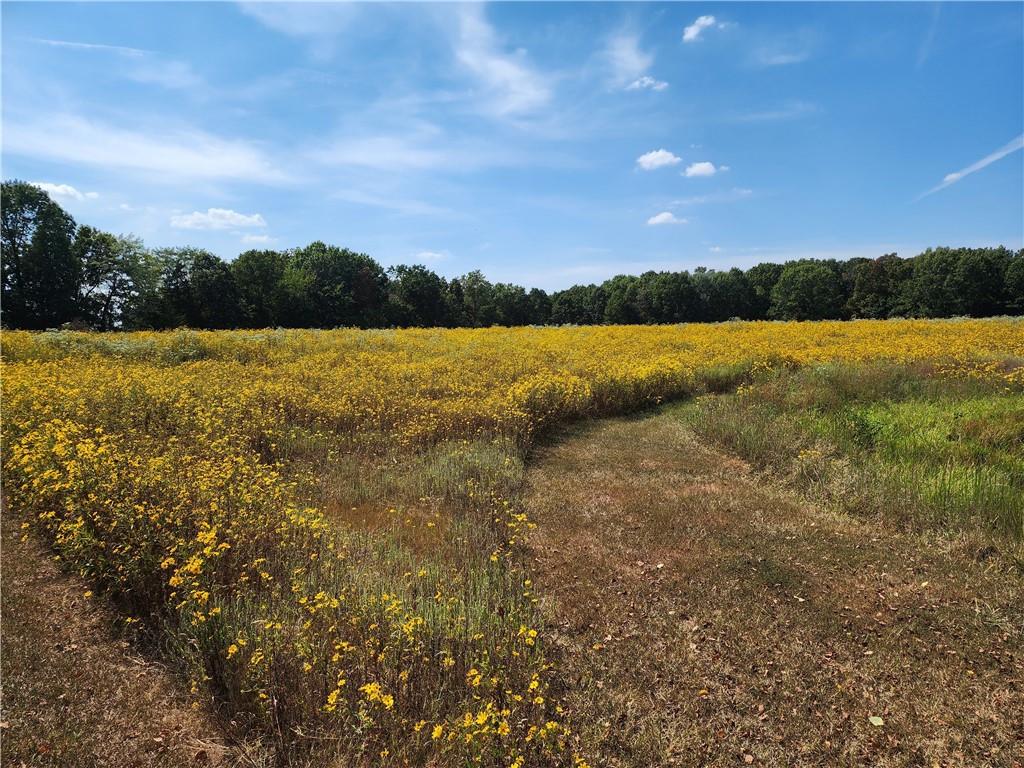 2055 East 335th Road Half Way, MO 65663 - Photo 64 of 99