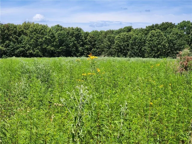 $699,999 | 2055 East 335th Road, Half Way, MO 65663