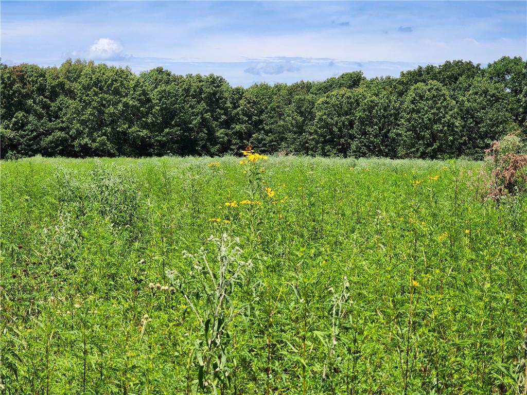 2055 East 335th Road Half Way, MO 65663 - Photo 65 of 99