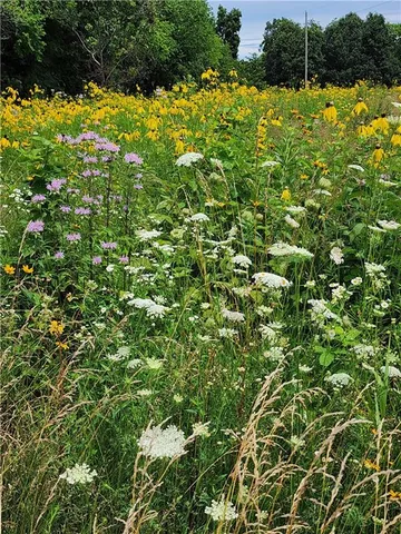 $699,999 | 2055 East 335th Road, Half Way, MO 65663