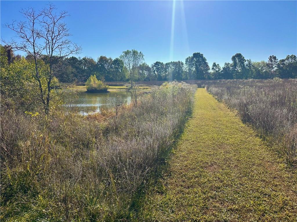 2055 East 335th Road Half Way, MO 65663 - Photo 68 of 99