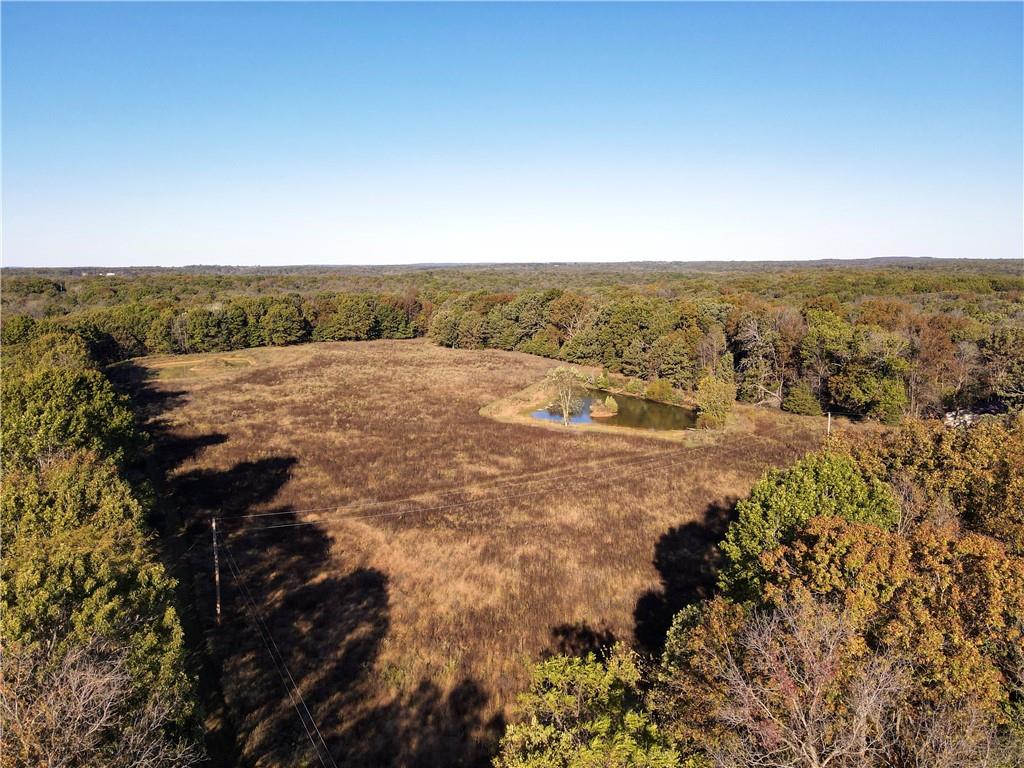 2055 East 335th Road Half Way, MO 65663 - Photo 69 of 99