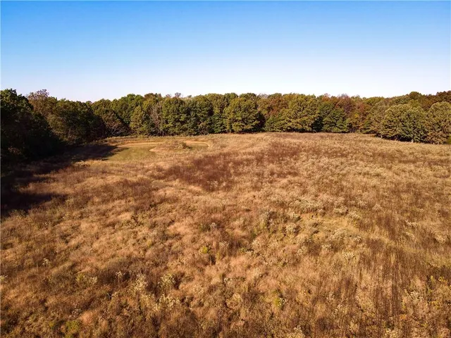 $699,999 | 2055 East 335th Road, Half Way, MO 65663