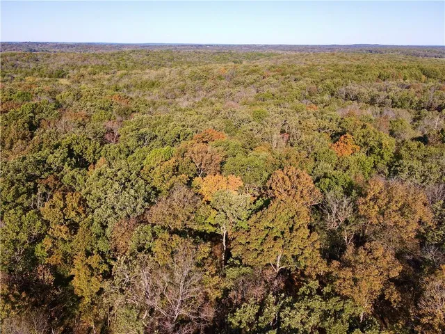 $699,999 | 2055 East 335th Road, Half Way, MO 65663