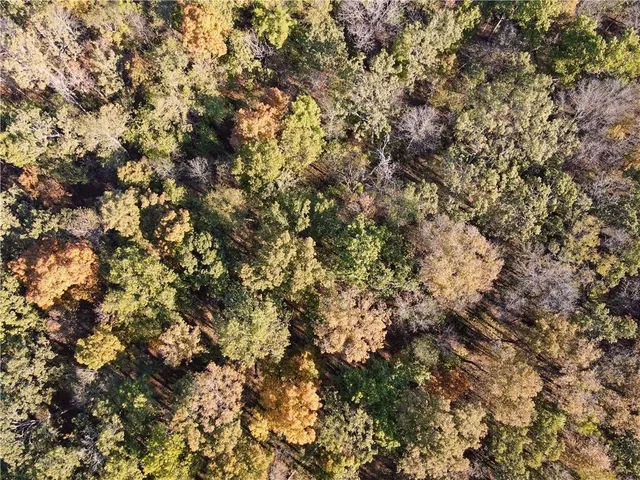 $699,999 | 2055 East 335th Road, Half Way, MO 65663