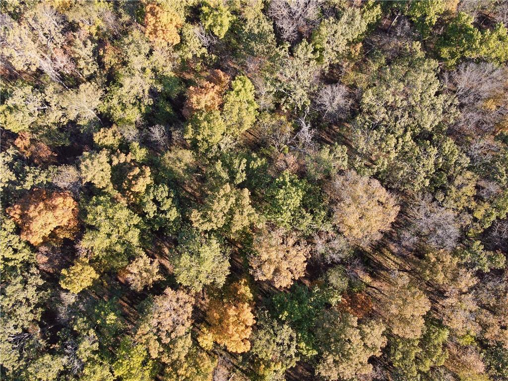 2055 East 335th Road Half Way, MO 65663 - Photo 74 of 99