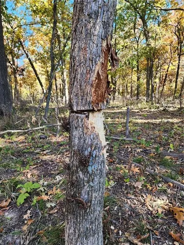 $699,999 | 2055 East 335th Road, Half Way, MO 65663