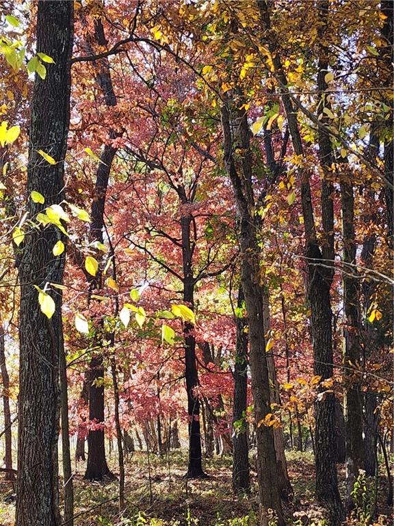 2055 East 335th Road Half Way, MO 65663 - Photo 76 of 99