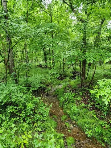 $699,999 | 2055 East 335th Road, Half Way, MO 65663