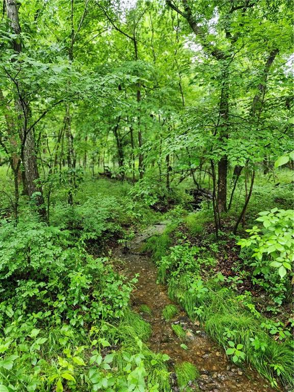 2055 East 335th Road Half Way, MO 65663 - Photo 77 of 99