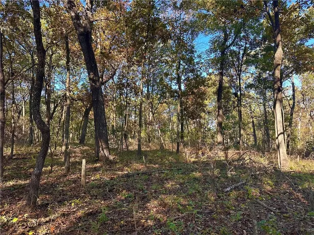 $699,999 | 2055 East 335th Road, Half Way, MO 65663