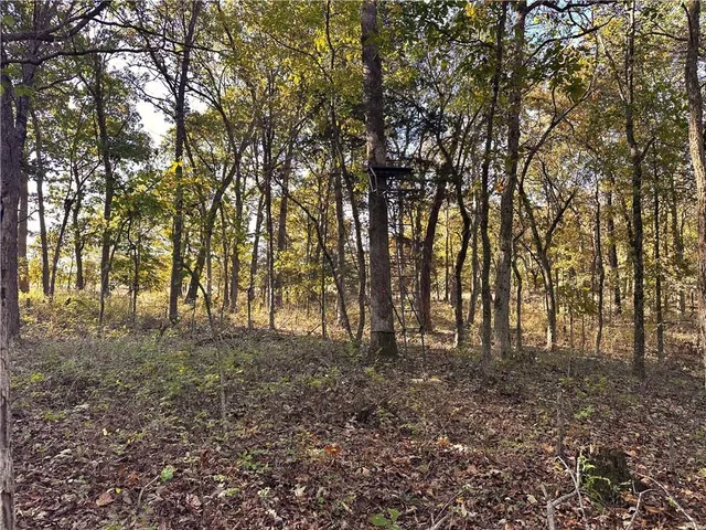 $699,999 | 2055 East 335th Road, Half Way, MO 65663