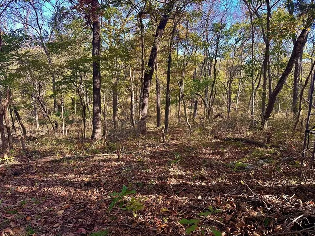 $699,999 | 2055 East 335th Road, Half Way, MO 65663