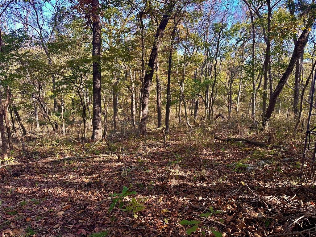 2055 East 335th Road Half Way, MO 65663 - Photo 80 of 99