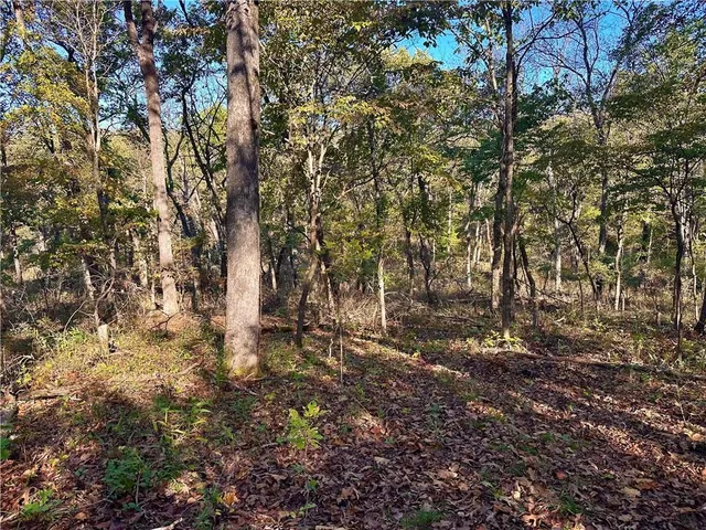 $699,999 | 2055 East 335th Road, Half Way, MO 65663