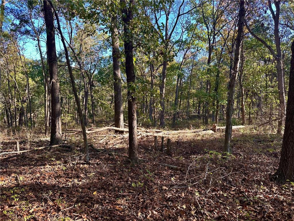 2055 East 335th Road Half Way, MO 65663 - Photo 82 of 99