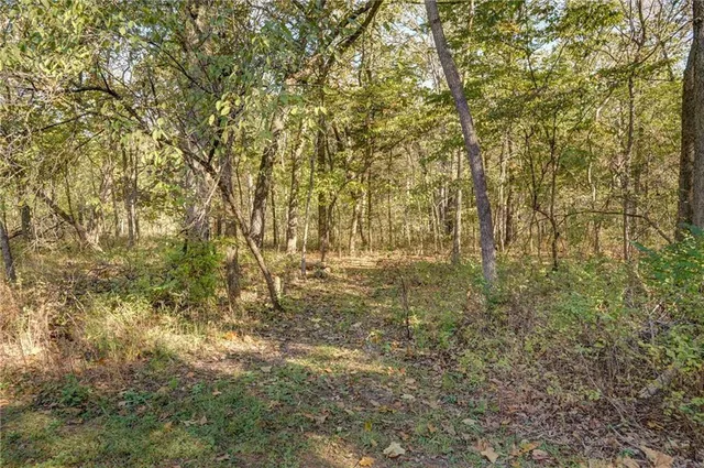 $699,999 | 2055 East 335th Road, Half Way, MO 65663