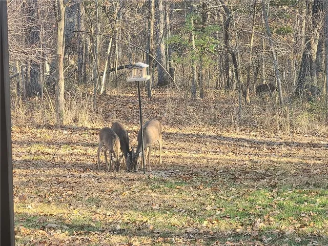 $699,999 | 2055 East 335th Road, Half Way, MO 65663