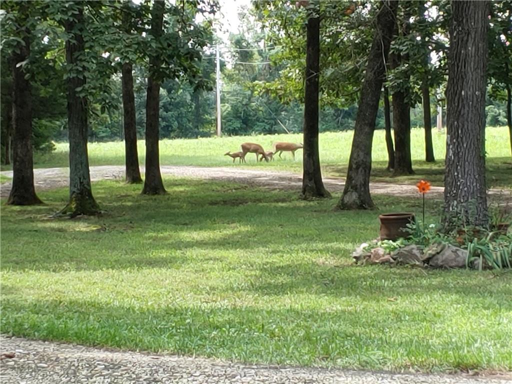 2055 East 335th Road Half Way, MO 65663 - Photo 93 of 99