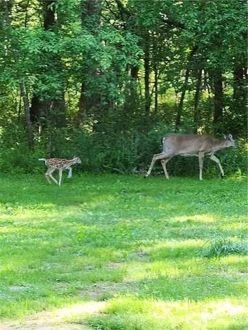 $699,999 | 2055 East 335th Road, Half Way, MO 65663