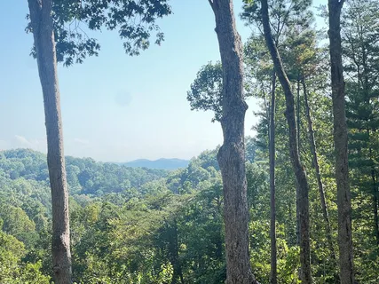 a view of a large window with an outdoor view