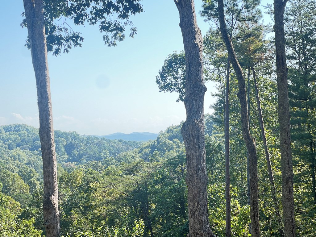 57 Deerfield Lane Blue Ridge, GA 30513 - Photo 7 of 53