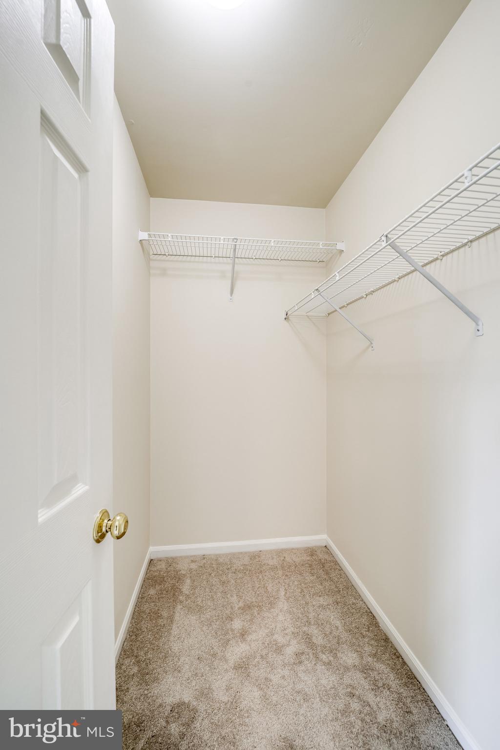 6007 Bingley Road Alexandria, VA 22315 - Photo 33 of 70 Plenty of storage space