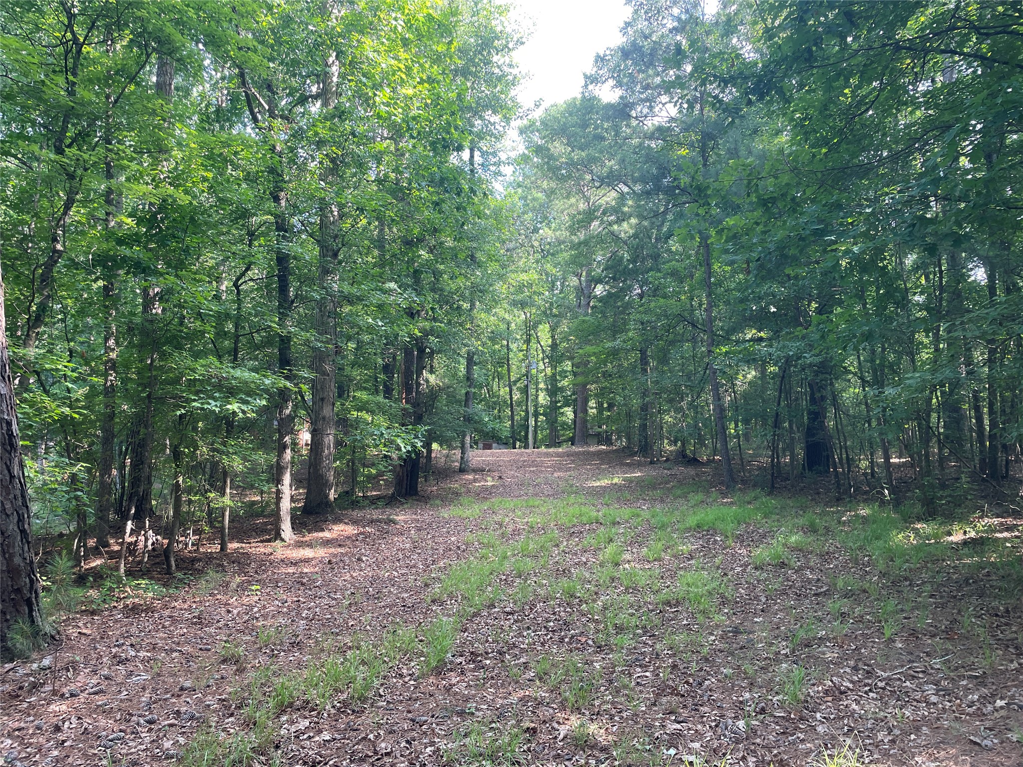 2983 Mallorysville Road Tignall, GA 30668 - Photo 30 of 47