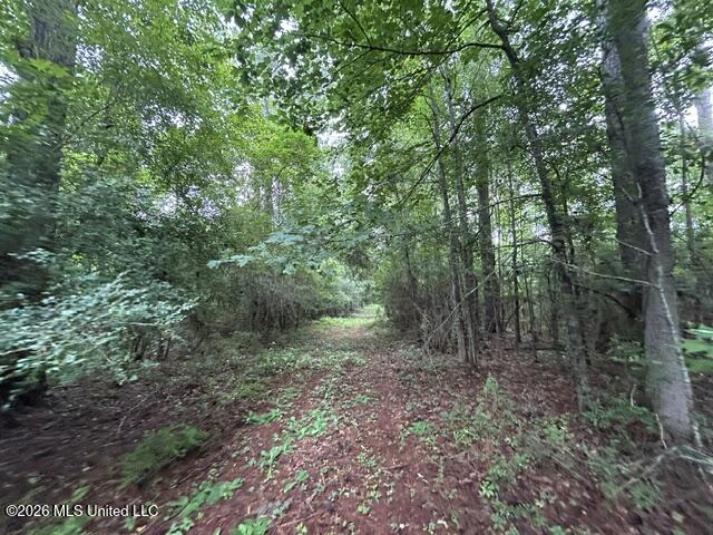 301 Freeman Road Southwest Summit, MS 39666 - Photo 29 of 43 IMG_4614