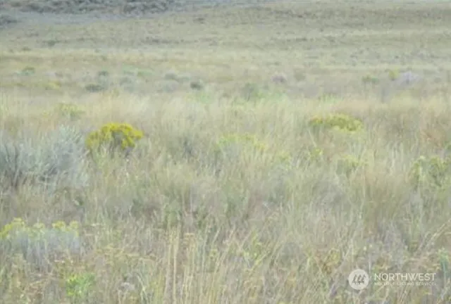 a bathroom with a small yard