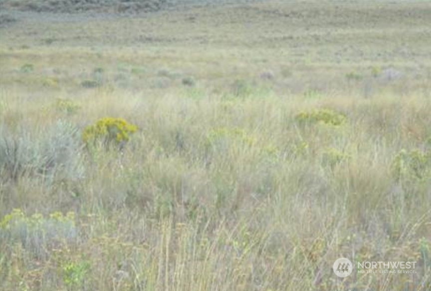 0 16 Road Northeast Coulee City, WA 99115 - Photo 2 of 5 a bathroom with a small yard