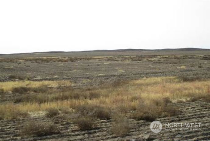 0 16 Road Northeast Coulee City, WA 99115 - Photo 3 of 5 a view of a lake view