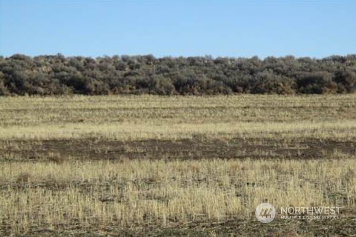 0 16 Road Northeast Coulee City, WA 99115 - Photo 4 of 5 a view of a lake view