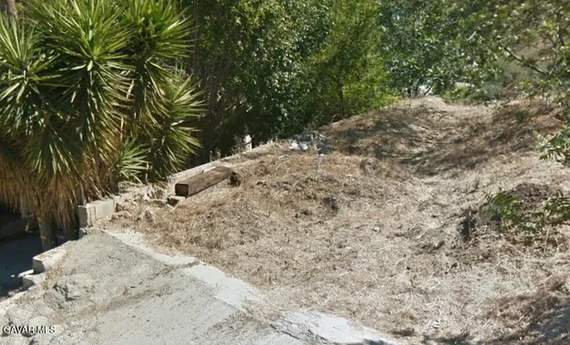 a view of a dry yard with trees
