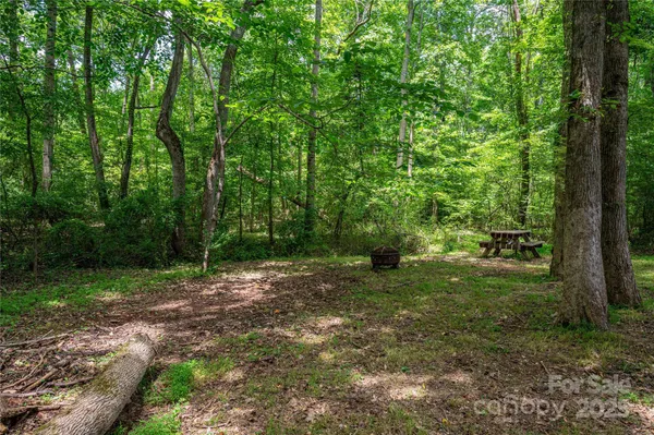 a big yard with lots of green space and deers