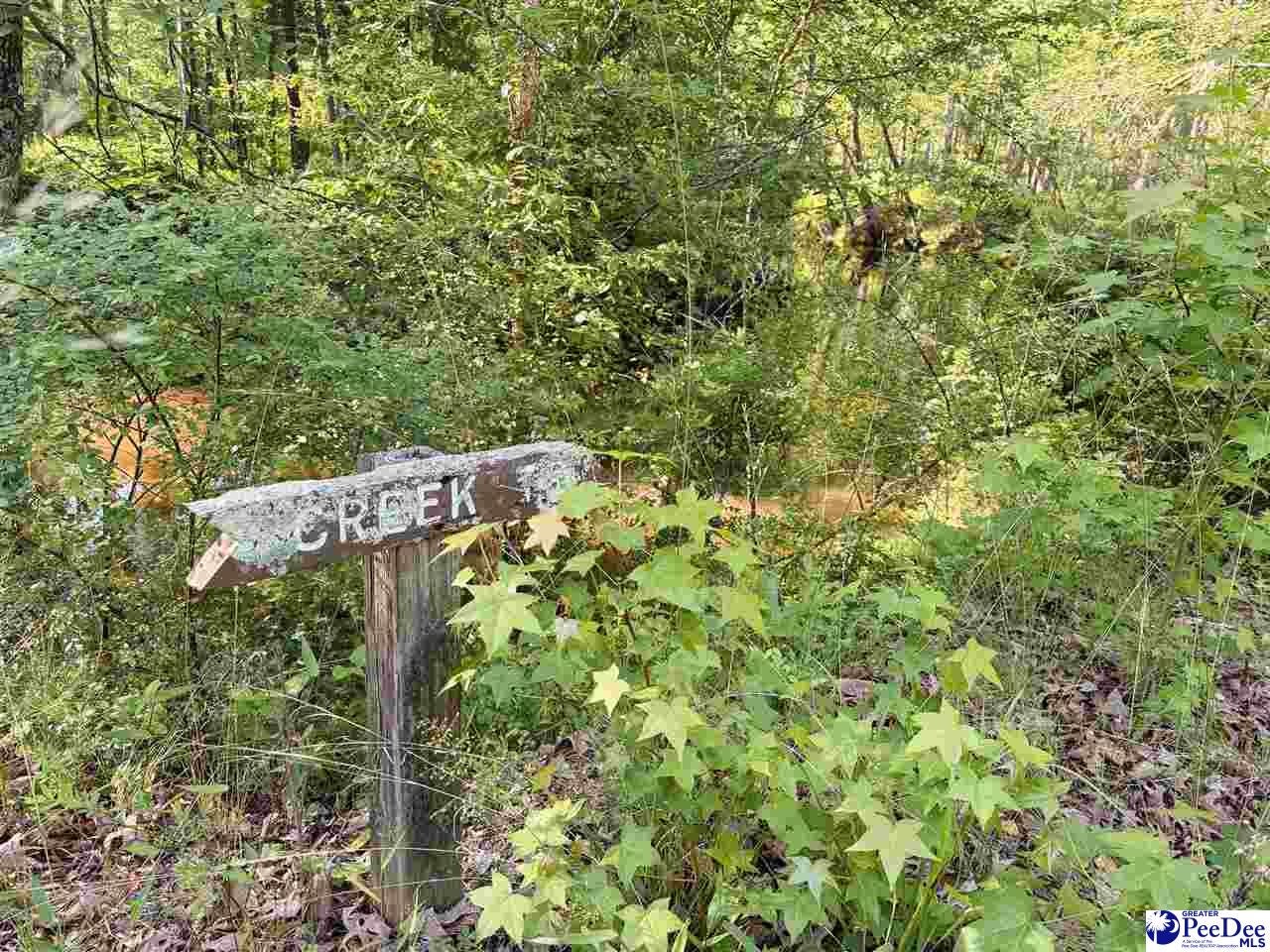 60-acres West Freight Road Florence, SC 29501 - Photo 13 of 27 Gallery Image 13
